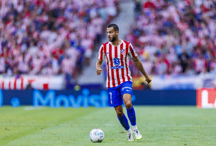 汉茨科, 多强, entit